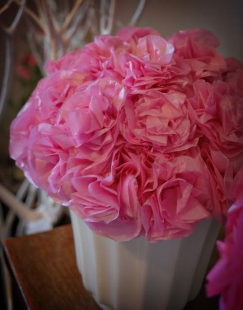 Nuestra Vida Dulce Don't Hate On Carnations